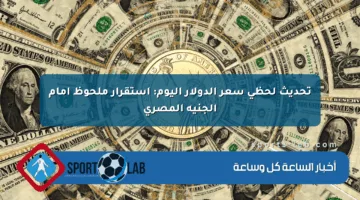 تحديث لحظي سعر الدولار اليوم: استقرار ملحوظ أمام الجنيه المصري